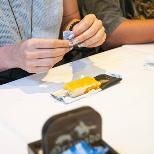 Wiba - Brazil Qualifier - Rolê Cultural